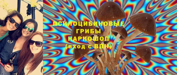 хмурый Апатиты