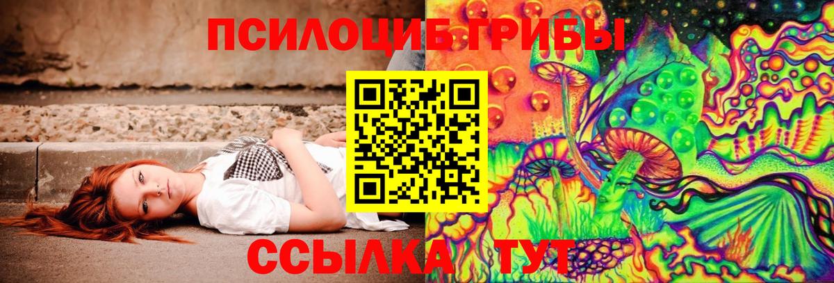 Галлюциногенные грибы GOLDEN TEACHER  где купить наркоту  Белая Калитва 